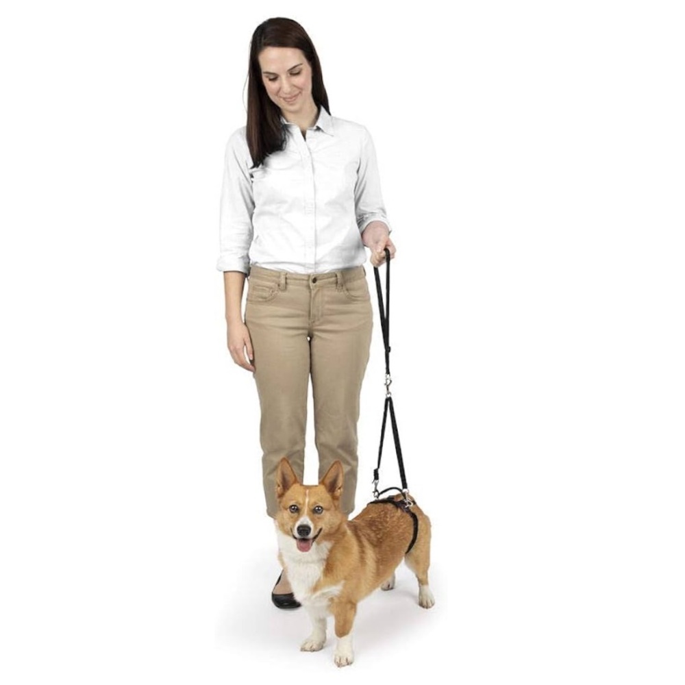 🆕 PetSafe CareLift Rear Support Harness